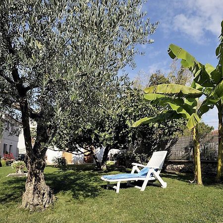 Apartment Vita Пореч Экстерьер фото